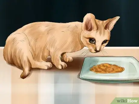 Imagen titulada Encourage Your Cat to Eat Step 3