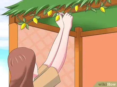 Imagen titulada Celebrate Sukkot Step 9