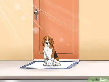 Imagen titulada Use Puppy Pads and Outdoor Potty Training Together Step 9