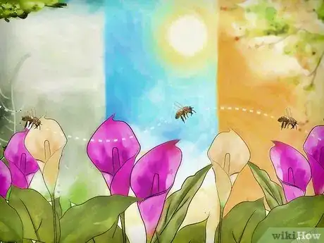 Imagen titulada Attract Honey Bees Step 4