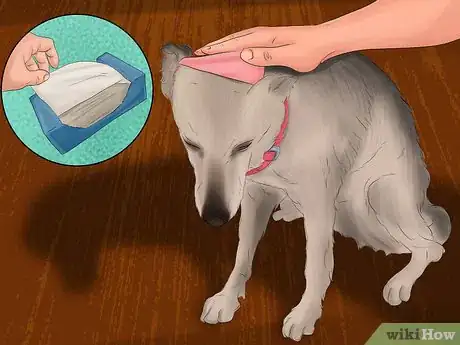 Imagen titulada Stop Your Dog from Being Frightened During a Storm Step 10