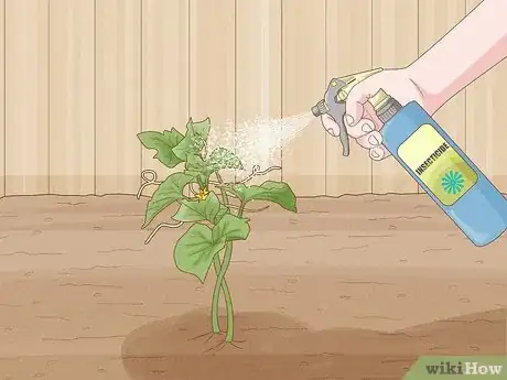 Imagen titulada Grow Cucumbers Step 19