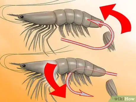 Imagen titulada Hook a Shrimp Step 3