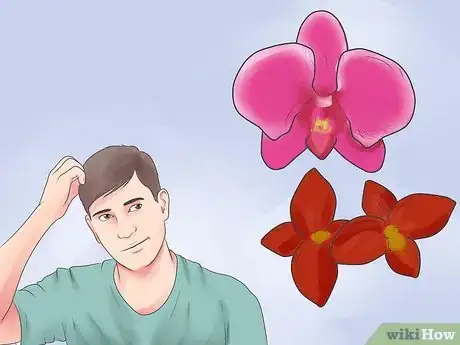 Imagen titulada Care for an Orchid Indoors Step 1