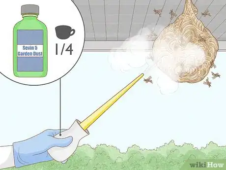 Imagen titulada Get Rid of a Wasp's Nest Step 13