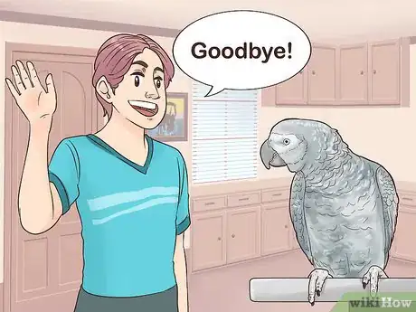 Imagen titulada Encourage an African Grey Parrot to Speak Step 2