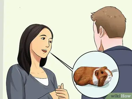 Imagen titulada Convince Your Parents to Buy You a Guinea Pig Step 5