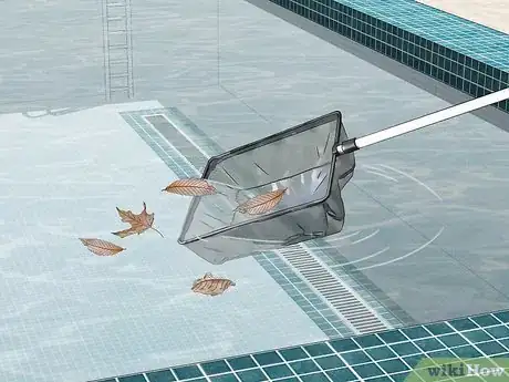 Imagen titulada Keep Wolf Spiders Out of a Pool Step 1