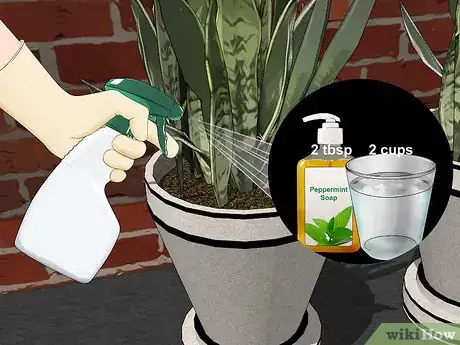 Imagen titulada Remove Ants from Potted Plants Step 4