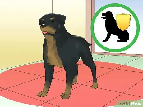 Imagen titulada Train a Rottweiler to Be a Guard Dog Step 9