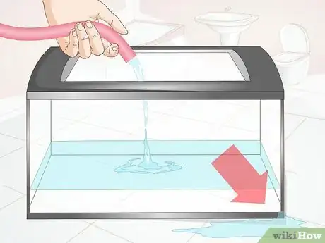 Imagen titulada Make a Shrimp Aquarium Step 7