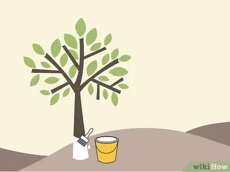 Imagen titulada Prune Citrus Trees Step 15