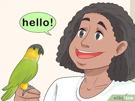 Imagen titulada Know if a Caique Parrot Is Right for You Step 12