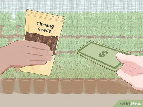 Imagen titulada Grow Ginseng Step 8