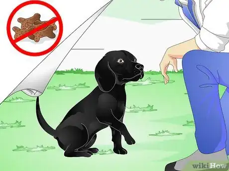 Imagen titulada Train Labrador Retrievers Step 6