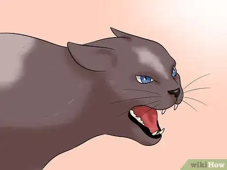 Imagen titulada Stop a Cat from Biting and Scratching Step 9