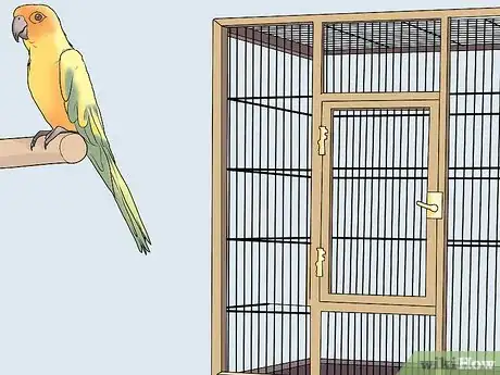 Imagen titulada Gain Your Bird's Trust Step 4