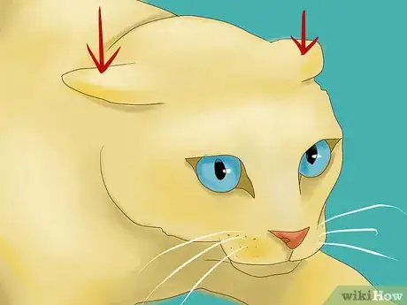 Imagen titulada Understand Your Cat's Body Language Step 10