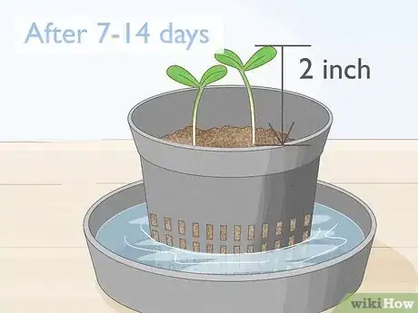 Imagen titulada Grow Watercress in a Pond Step 7