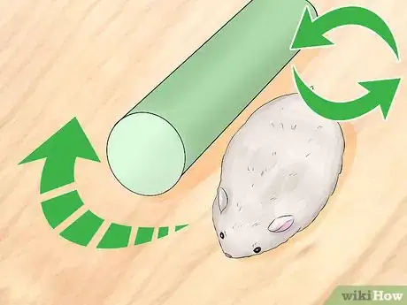 Imagen titulada Train Your Hamster Step 5