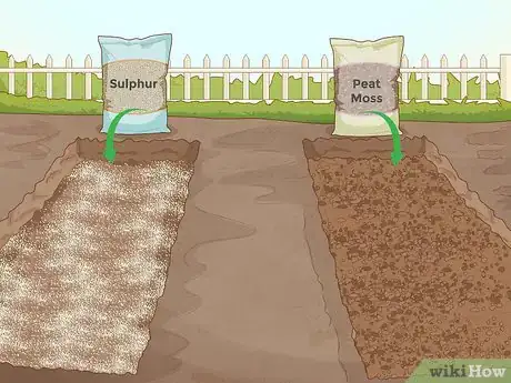 Imagen titulada Test Soil pH Step 12