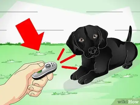 Imagen titulada Train Labrador Retrievers Step 4