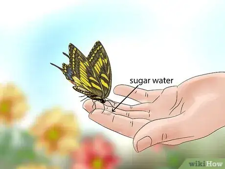 Imagen titulada Easily Catch a Butterfly with Your Hand Step 4