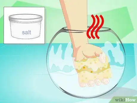 Imagen titulada Change the Water in a Fish Bowl Step 8