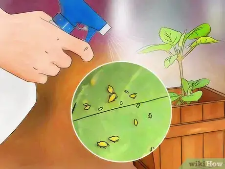 Imagen titulada Place Houseplants Around Your Home Step 13