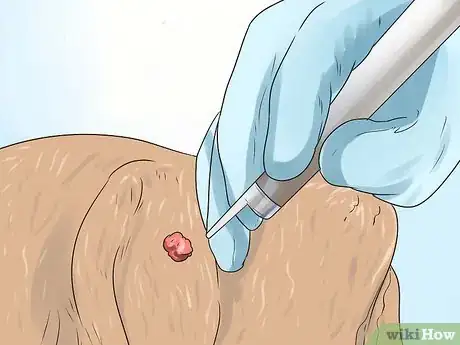 Imagen titulada Remove Warts on Dogs Step 18