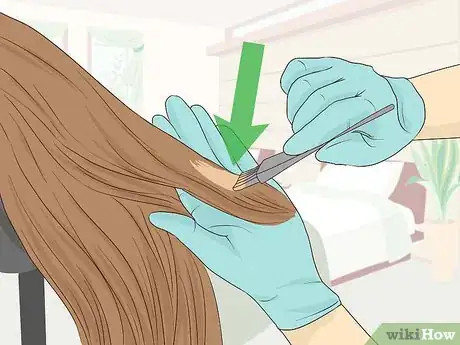 Imagen titulada Dye a Human Hair Wig Step 5