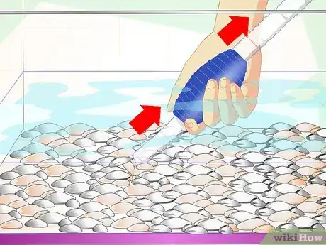 Imagen titulada Fix Cloudy Aquarium Water Step 6