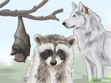 Imagen titulada Identify Rabies in Humans Step 4