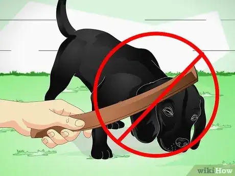 Imagen titulada Train Labrador Retrievers Step 2