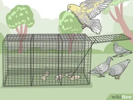 Imagen titulada Keep Birds Off the Roof Step 12