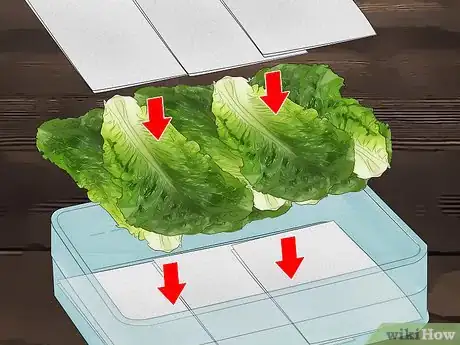 Imagen titulada Tell if Lettuce Has Gone Bad Step 8