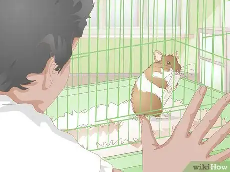 Imagen titulada Make Hamster Chew Sticks Step 13