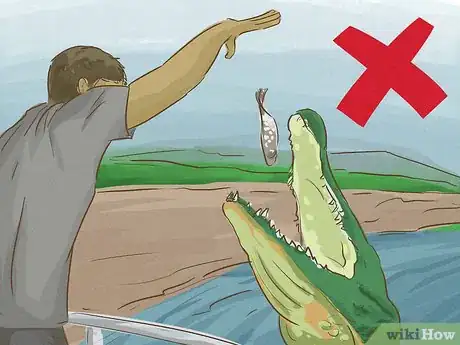 Imagen titulada Survive an Encounter with a Crocodile or Alligator Step 8