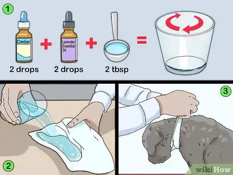 Imagen titulada Prevent Flea Bites Step 4