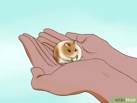 Imagen titulada Handle a Hamster Without Being Bitten Step 4