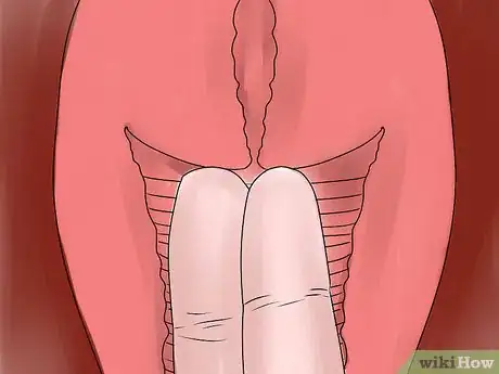 Imagen titulada Feel Your Cervix Step 5