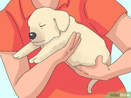 Imagen titulada Take Care of Puppies Step 13