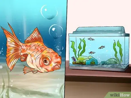 Imagen titulada Plan an Aquarium Step 3