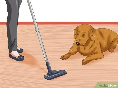 Imagen titulada Desensitize Your Dog Step 1