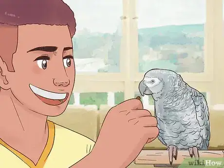 Imagen titulada Encourage an African Grey Parrot to Speak Step 9