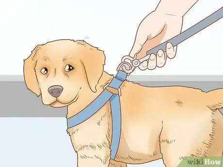 Imagen titulada Put on a Dog Harness Step 16