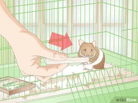 Imagen titulada Make Hamster Chew Sticks Step 11