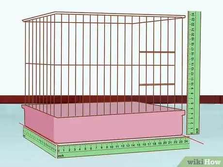 Imagen titulada Know if a Conure Is Right for You Step 7