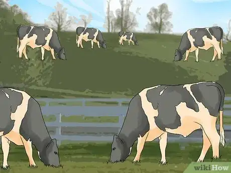 Imagen titulada Manage Pastures Using Rotational or Management Intensive Grazing Step 10