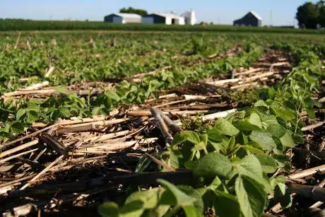 Imagen titulada Healthy Soil in Illinois